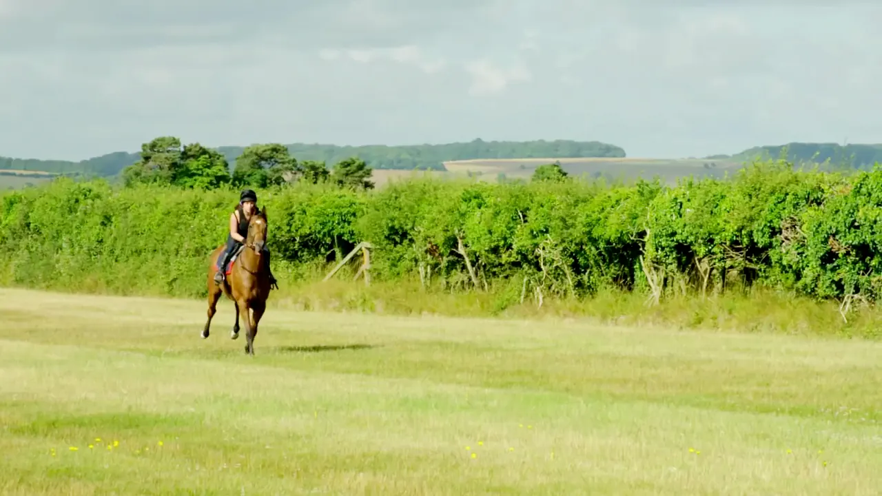 A racehorse and rider cantering up the grass gallop towards the camera