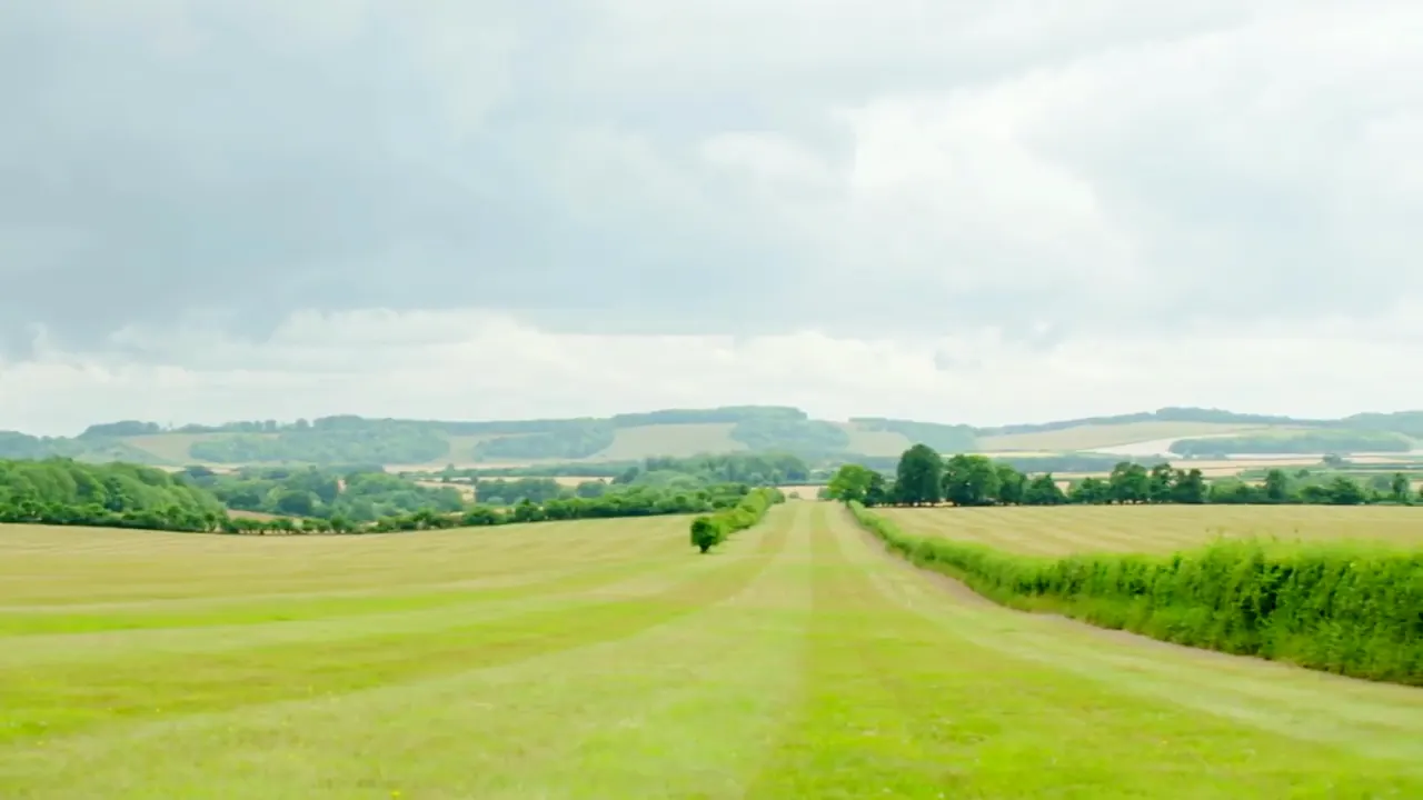 Danebury's restored grass gallop running straight into the distance beside a hedgerow, with the Hampshire downs beyond